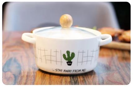 "Stay Away From Me" Cactus Ceramic Ramen Bowl with Glass Lid