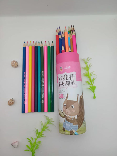 36 Count Hexagonal Colored Pencils Set – Vibrant Art Supplies for Kids & Adults with Cute Squirrel Case