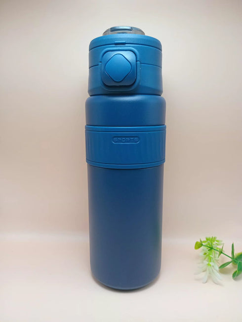 316 Stainless Steel Dual-Drink Insulated Water Bottle with Straw & Sip Lid 800ml