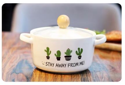"Stay Away From Me" Cactus Ceramic Ramen Bowl with Glass Lid