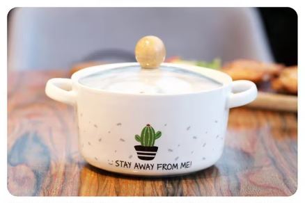 "Stay Away From Me" Cactus Ceramic Ramen Bowl with Glass Lid