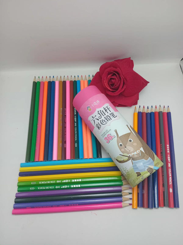 36 Count Hexagonal Colored Pencils Set – Vibrant Art Supplies for Kids & Adults with Cute Squirrel Case