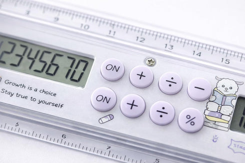 Multi-Function 20cm Ruler with Digital Calculator - Portable & Slim Design