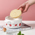 π Kawaii Strawberry Ceramic Soup & Noodle Bowl with Glass Lid