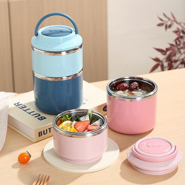 2-Tier Insulated Stainless Steel Lunch Box – Leakproof Stackable Bento Box Tiffin Container for Office, School & Travel (Blue, Pink, Green)