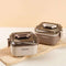 2-Section Stainless Steel Bento Lunch Box with Cutlery | Leak-Proof Insulated Tiffin Food Container