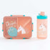 Kids Bento Lunch Box with Matching Water Bottle Set – 2-Compartment Leak-Proof School Tiffin with Spoon & Fork (Shark, Mermaid, Unicorn, T-Rex Designs)